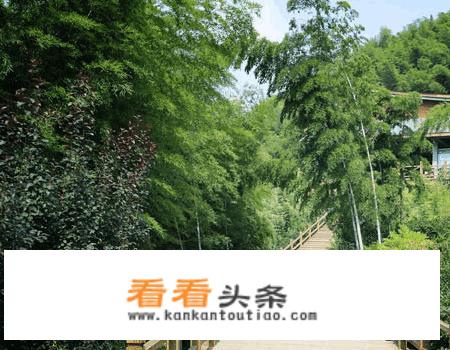 常州有哪些旅游景点