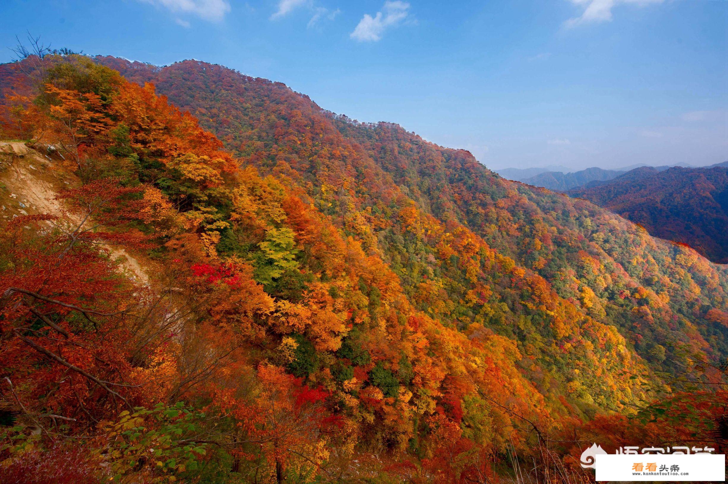 11月适合去哪旅游