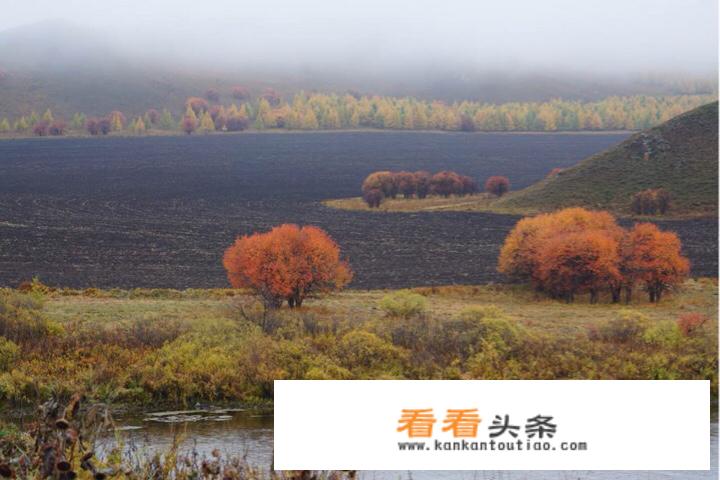 求推荐阿尔山的游玩攻略