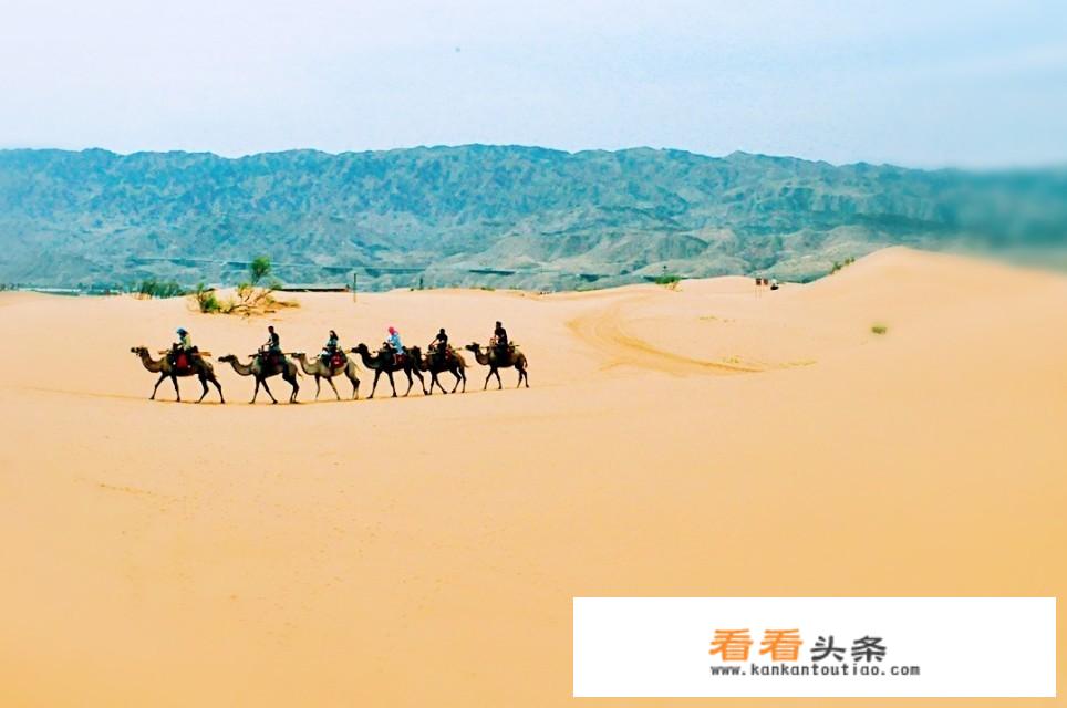 如何看待中国式旅游