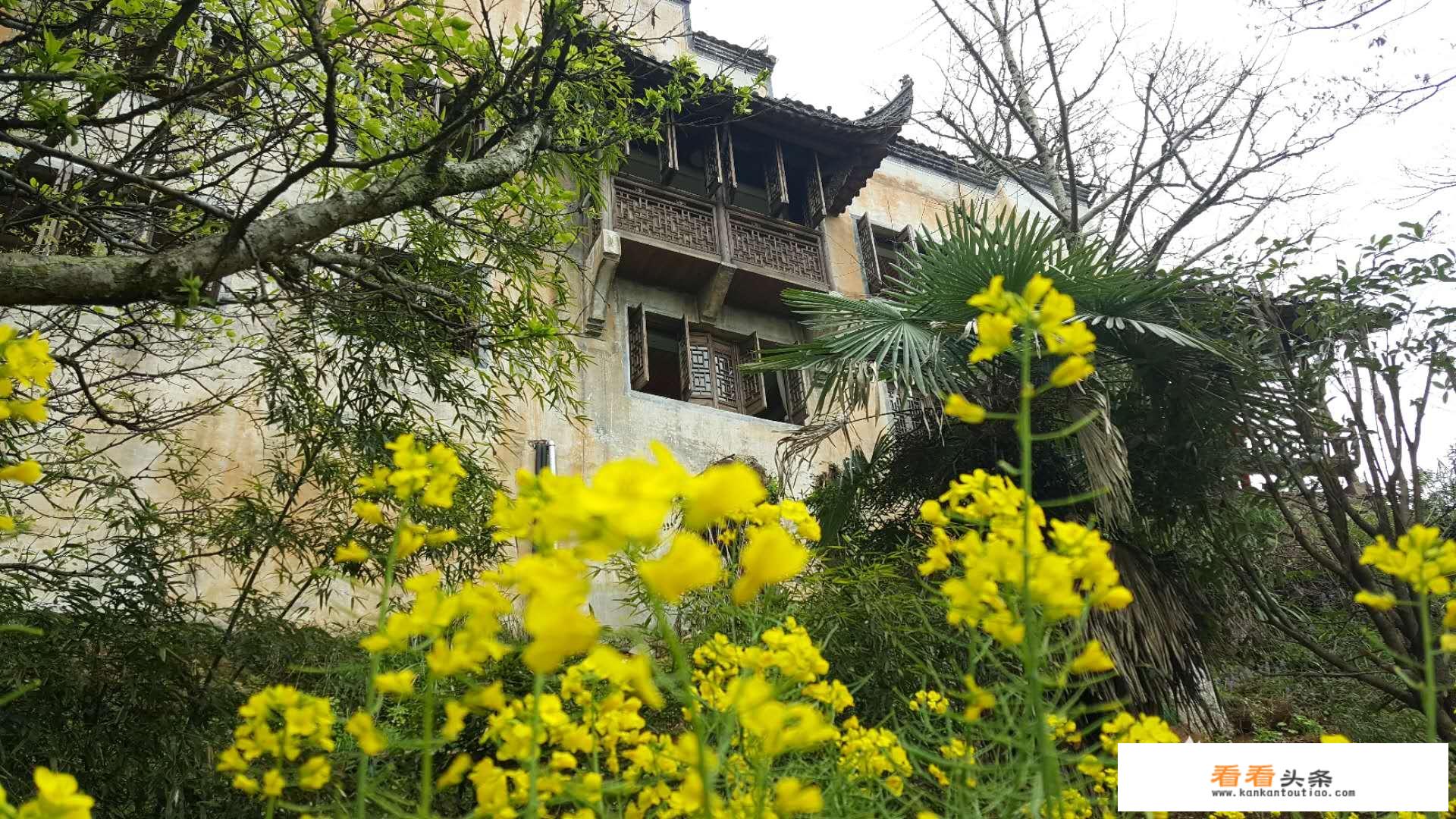 去婺源旅游有什么含义