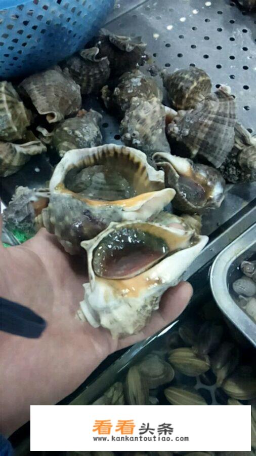 丹东东港吃海鲜攻略