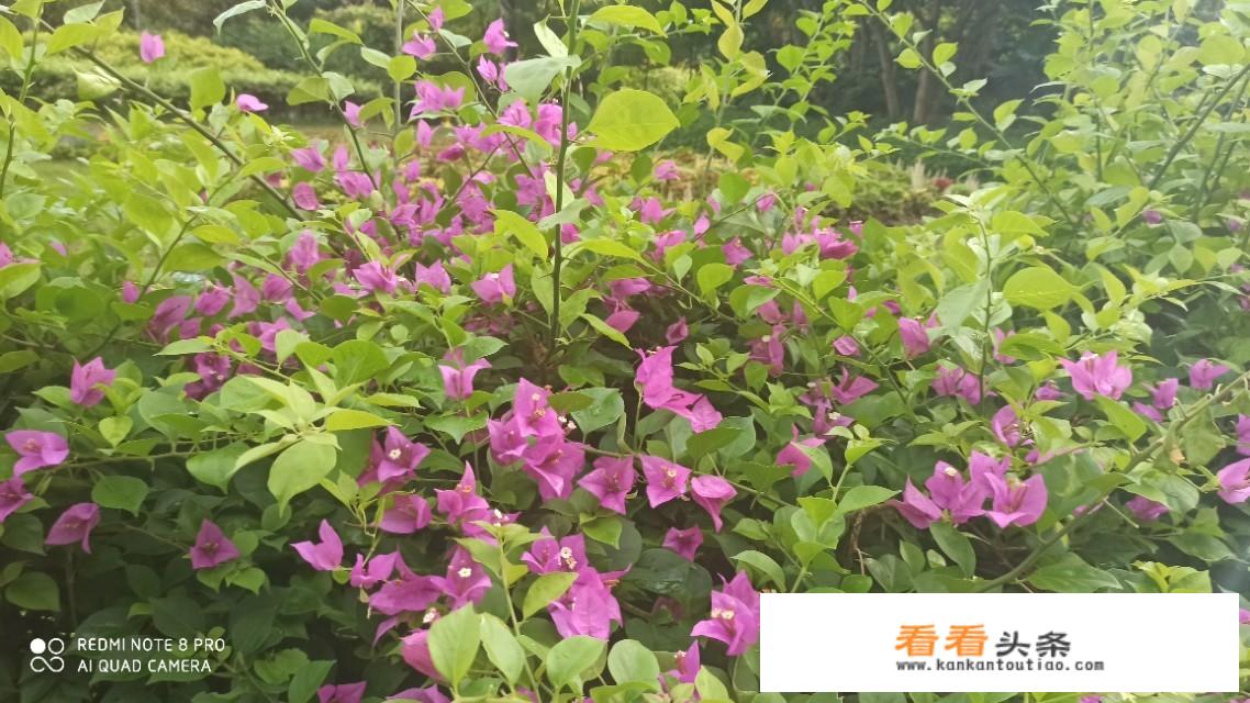 今年12到1月要去一趟海南海口，请问应该带什么样的衣服合适