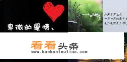 什么是卑微的爱情