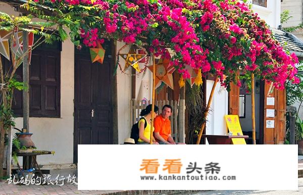 旅行社安排观光景点的原则有哪些