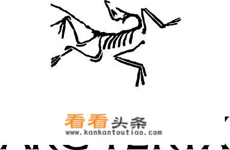 男士背包有哪些牌子
