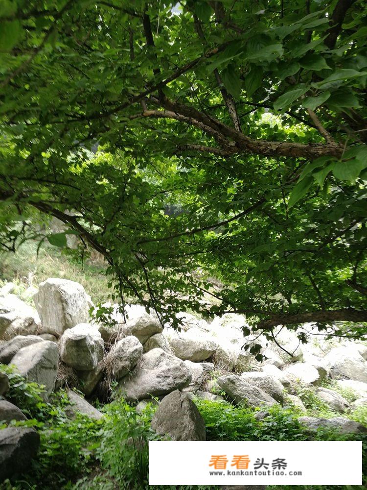 青山不墨千秋画，绿水无弦万古琴是哪个景点