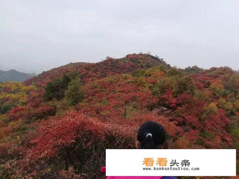 青山不墨千秋画，绿水无弦万古琴是哪个景点