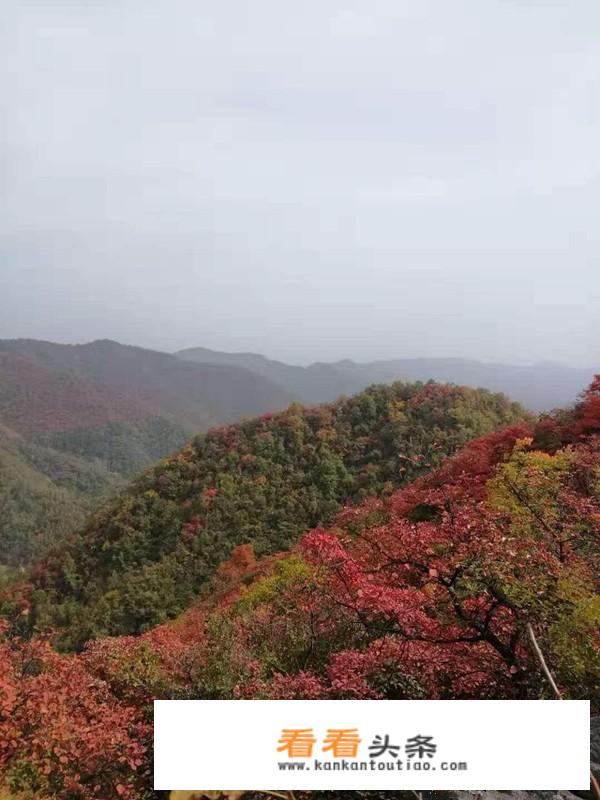 青山不墨千秋画，绿水无弦万古琴是哪个景点