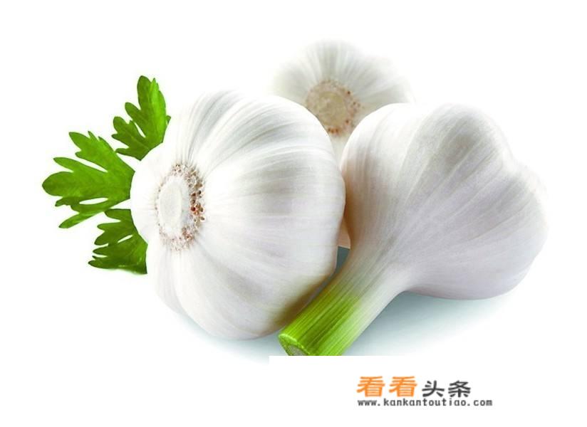 如何保存大蒜头