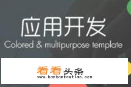 APP软件开发成本分析