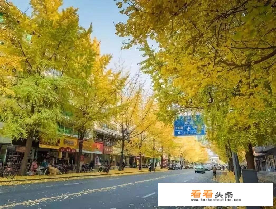 这个月11月份去成都穿什么衣服