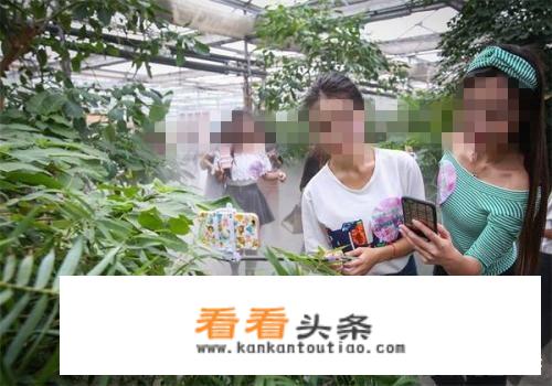 为什么一些网红能够到处游玩呢