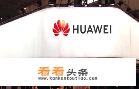 为什么美国举全国之力打压华为