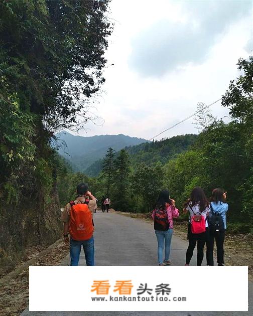 去国外旅游要买什么保险