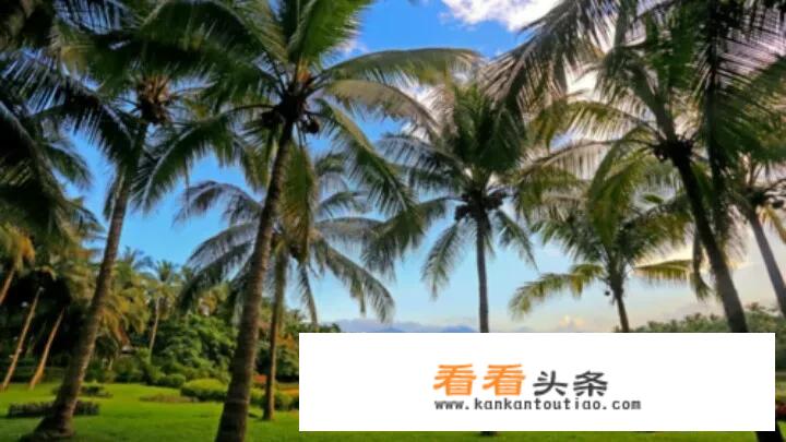 万宁兴隆十大景点?请问兴隆温泉哪一家较好