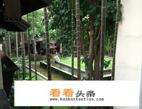 为什么近年这么多国人喜欢去泰国旅游，而清迈是热门城市之一