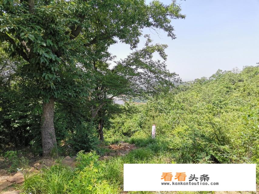 武汉藉的人现在能去建始的黄鹤桥景区游玩吗