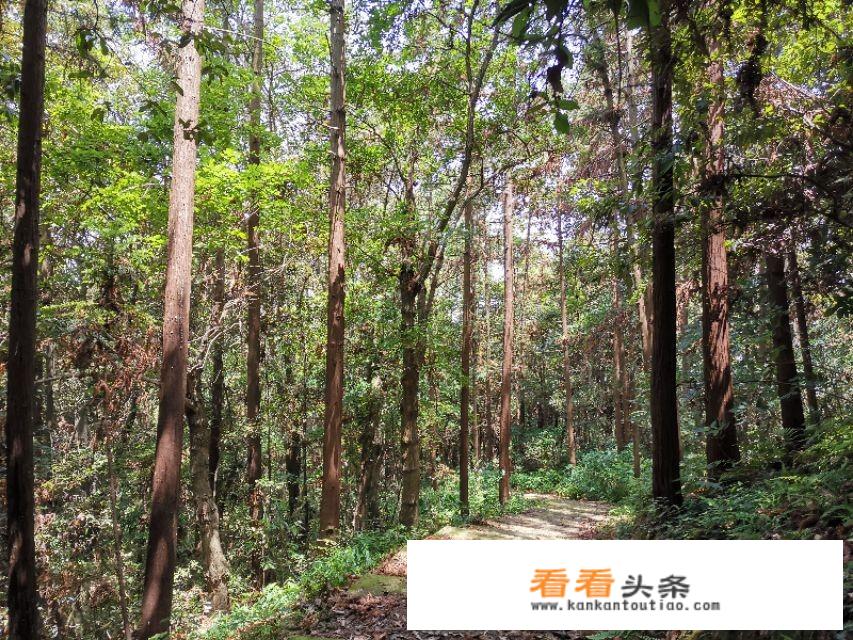 武汉藉的人现在能去建始的黄鹤桥景区游玩吗