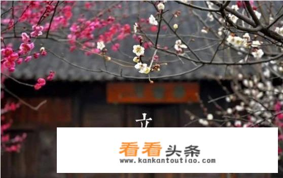 二十四节气儿歌歌词