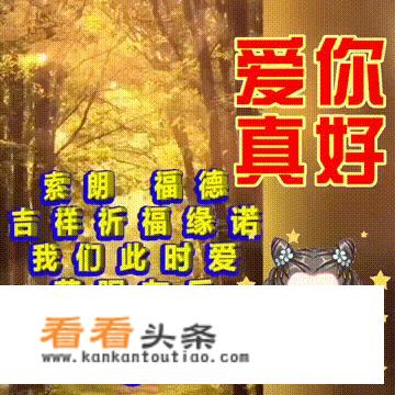 适合立秋发朋友圈下雨图片的句子