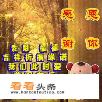 适合立秋发朋友圈下雨图片的句子