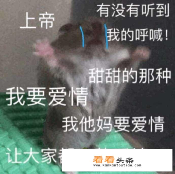 有没有女朋友为了与你一起玩，而苦练游戏，只是想陪着你一起