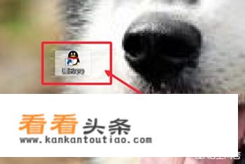 手机 *** 视频聊天如何录像保存