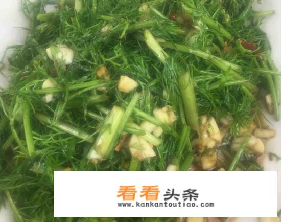 凉拌茴香怎么做