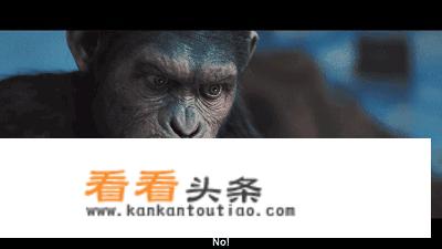 《人猿星球》最后结局到底是什么意思