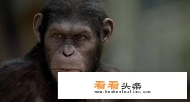 《人猿星球》最后结局到底是什么意思