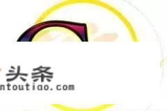 编写软件用什么语言