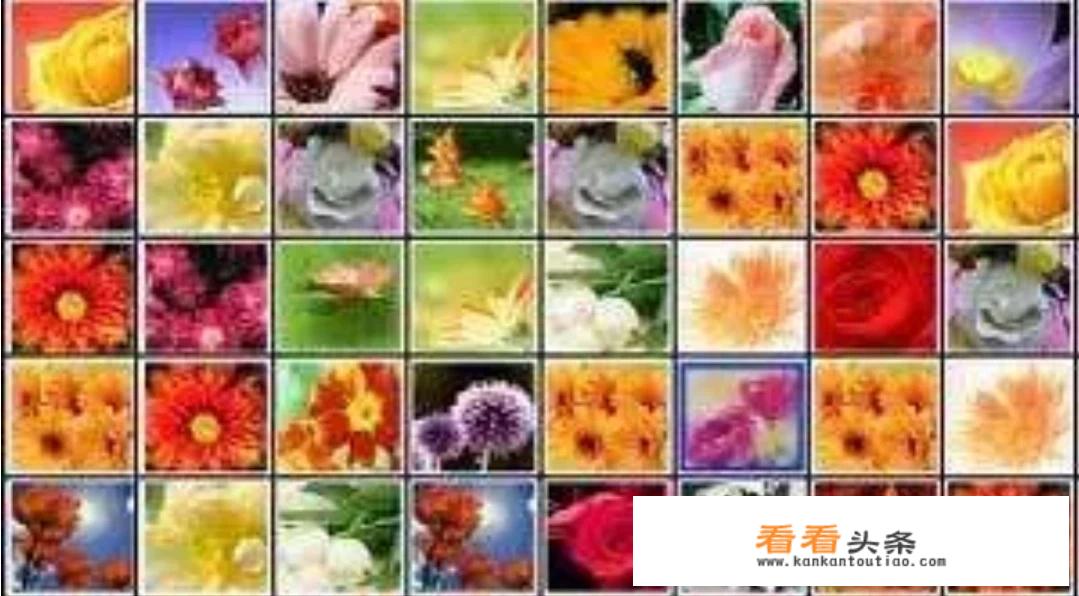 花花连连看这个游戏中有什么益智效果