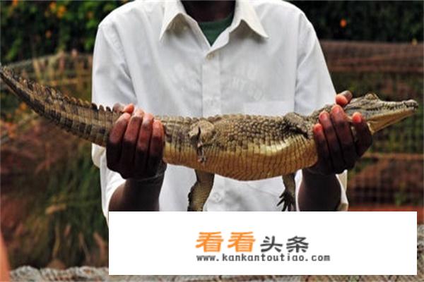 想去曼谷旅游，该如何安排行程