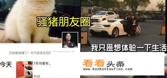 PDD直言买法拉利488太后悔，400万买来放仓库吃灰，原因很“真实”，你有何看法