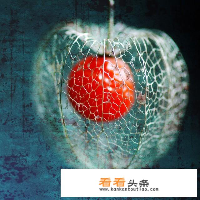 生命的意义到底是什么