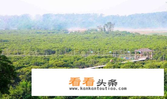 合浦县山口镇总人口约多少人