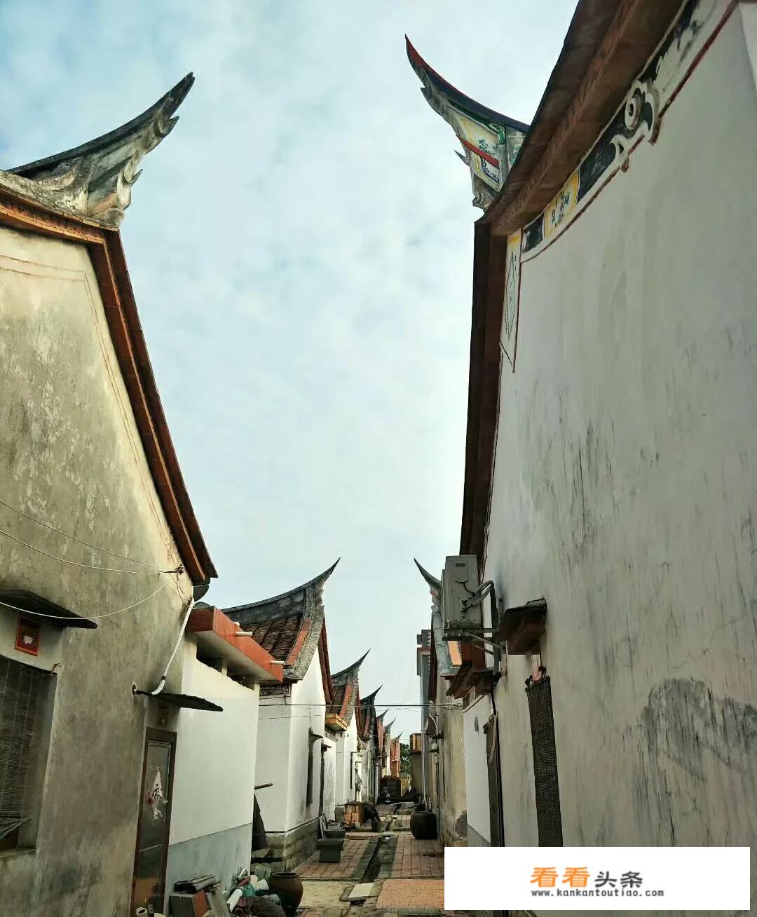 旅游的目的