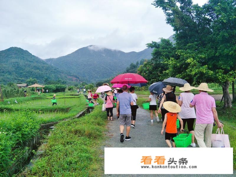 中能建惠州生态资源科技有限公司