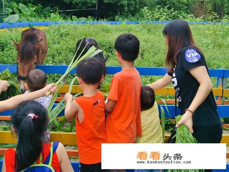 中能建惠州生态资源科技有限公司