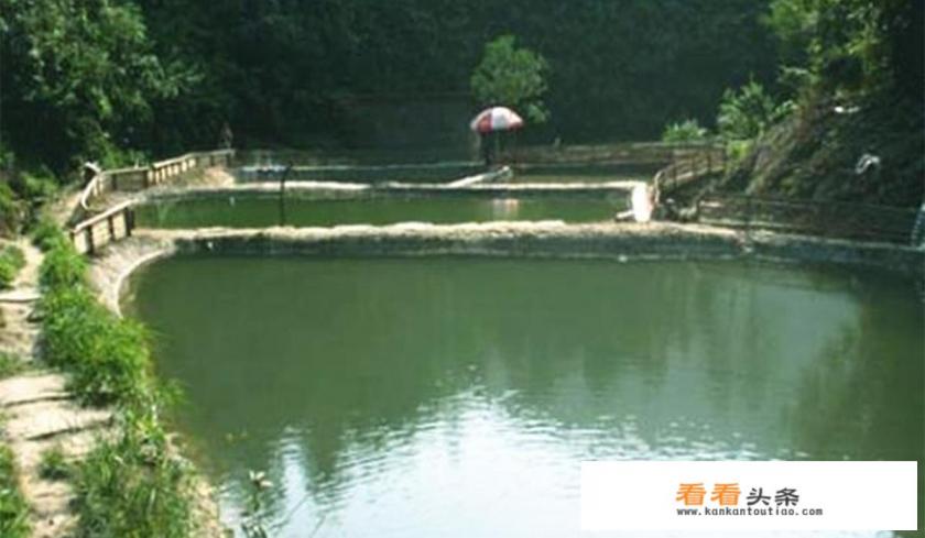 三水源生态旅游度假区门票多钱多大年纪免门票