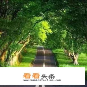 沃尔沃s90和宝马5系谁更安全