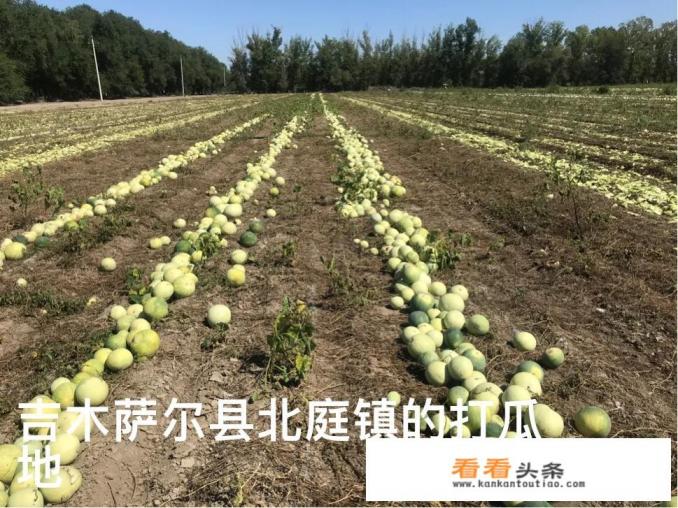 乡村游玩发朋友圈句子