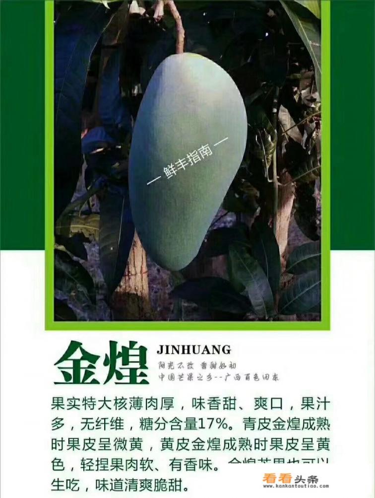 芒果沙冰商用做法