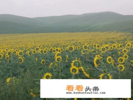 请问大家旅行前是怎么选择路线，和目的地的呢