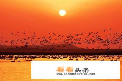 南昌玛雅水上乐园旅游攻略