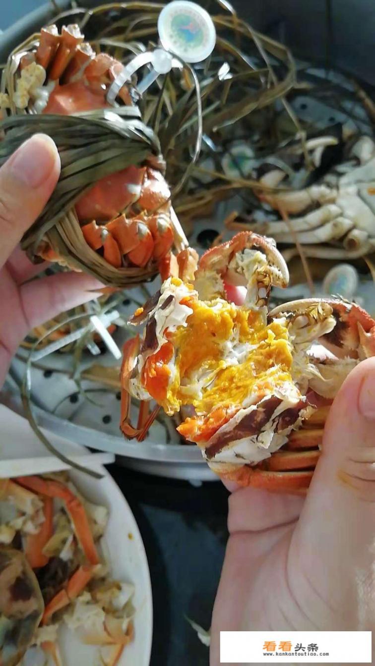 大闸蟹什么季节吃