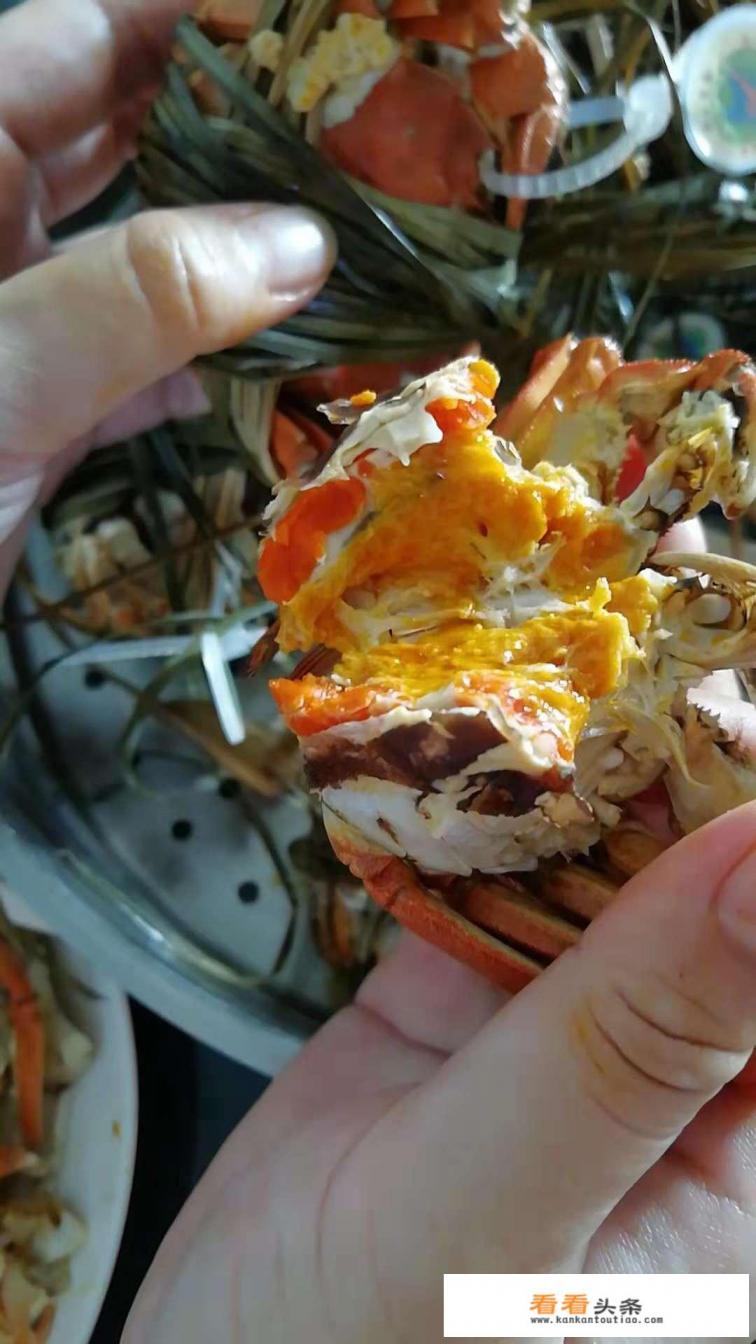 大闸蟹什么季节吃
