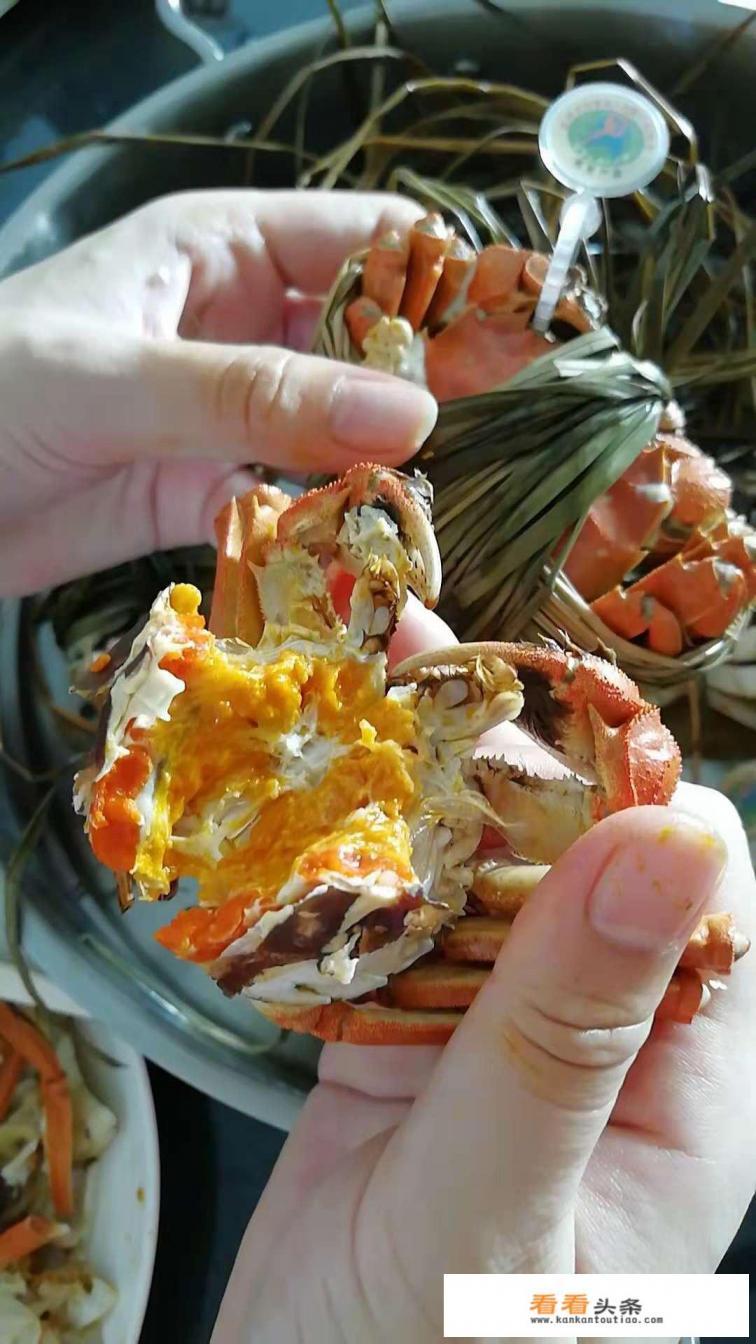 大闸蟹什么季节吃