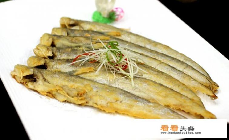 价格近万元一斤的长江刀鱼，为何没有人工养殖